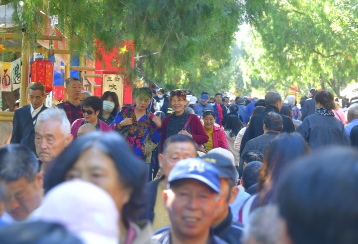 千佛山上“人从众”，重阳节山会人气爆棚