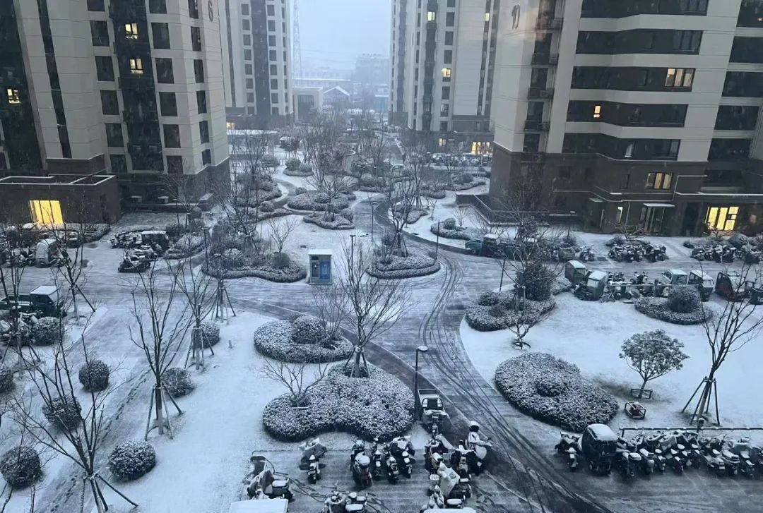 下雪啦！济南继续发布寒潮蓝警+道路结冰黄警，早晨到下午有中雪